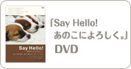 Say Hello!@̎qɂ낵BDVD