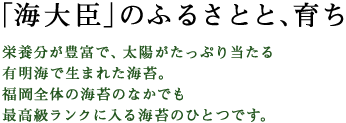 �u�C��b�v�̂ӂ邳�ƂƁA�炿 �h�{�����L�x�ŁA���z�������Ղ蓖���� �L���C�Ő��܂ꂽ�C�ہB �����S�̂̊C�ۂ̂Ȃ��ł� �ō��������N�ɓ���C�ۂ̂ЂƂł��B