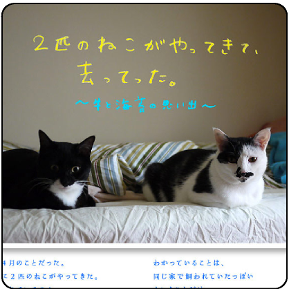 2匹のねこがやって来て、去ってった。~牛と海苔の思い出~。