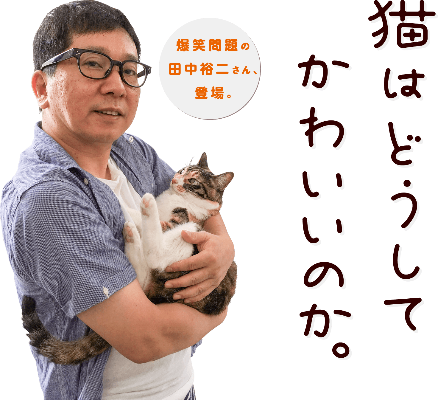 猫はどうしてかわいいのか。 - ほぼ日刊イトイ新聞