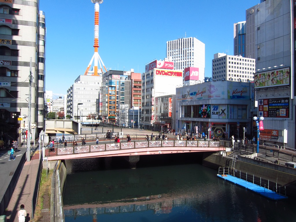 都市の川が 面白い 自然を教えるという仕事 ほぼ日の塾 発表の広場