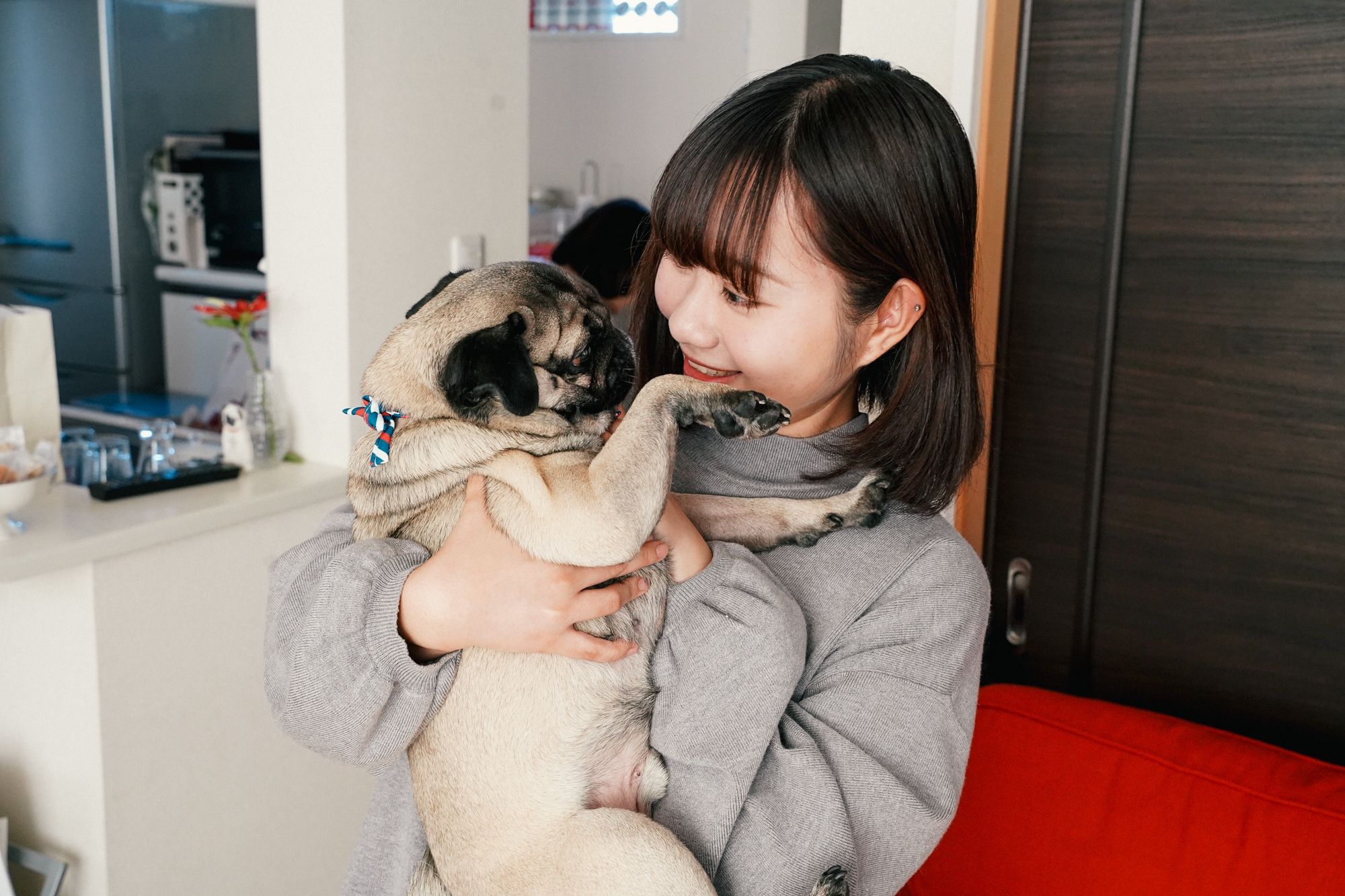 私の好きなもの愛犬 ジヌ ほぼ日の塾 発表の広場