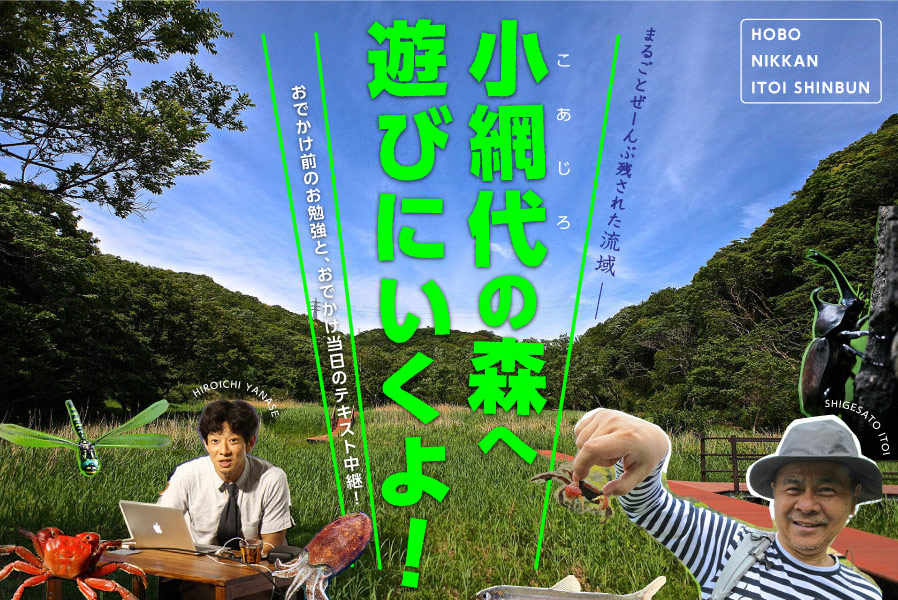 小網代の森へ遊びにいくよ！ - ほぼ日刊イトイ新聞