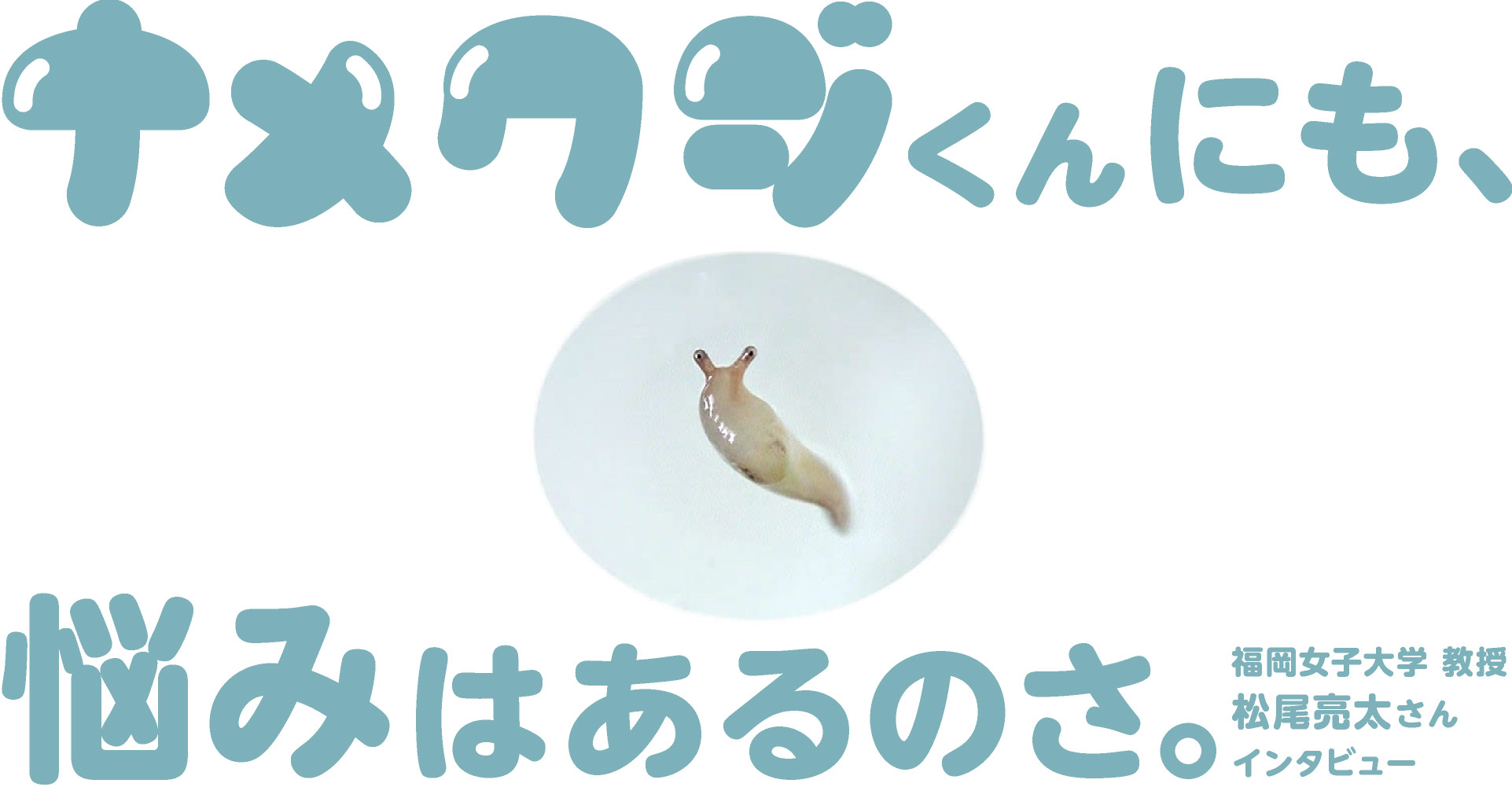 第5回 弱肉強食のナメクジの世界 ナメクジくんにも 悩みはあるのさ 松尾亮太さんインタビュー 松尾亮太 ほぼ日刊イトイ新聞