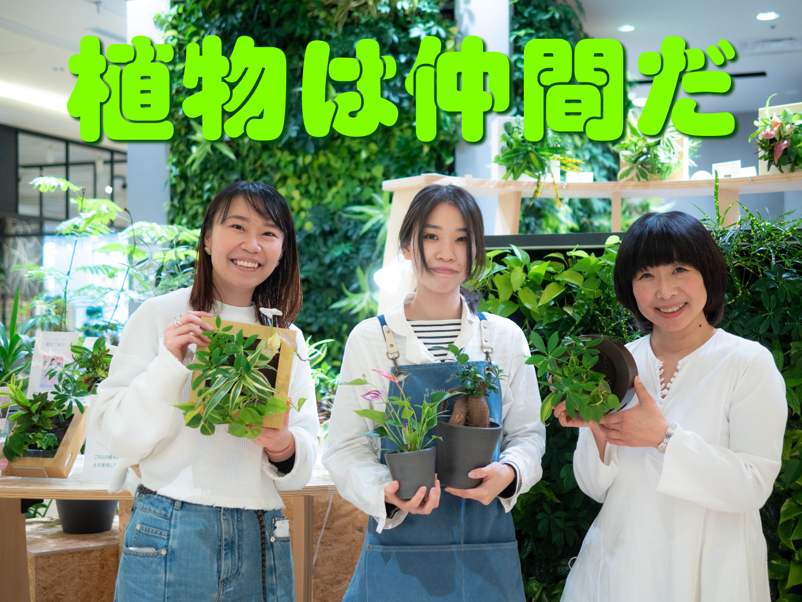 第４回 植え替えたい | 植物は仲間だ | ほぼ日刊イトイ新聞