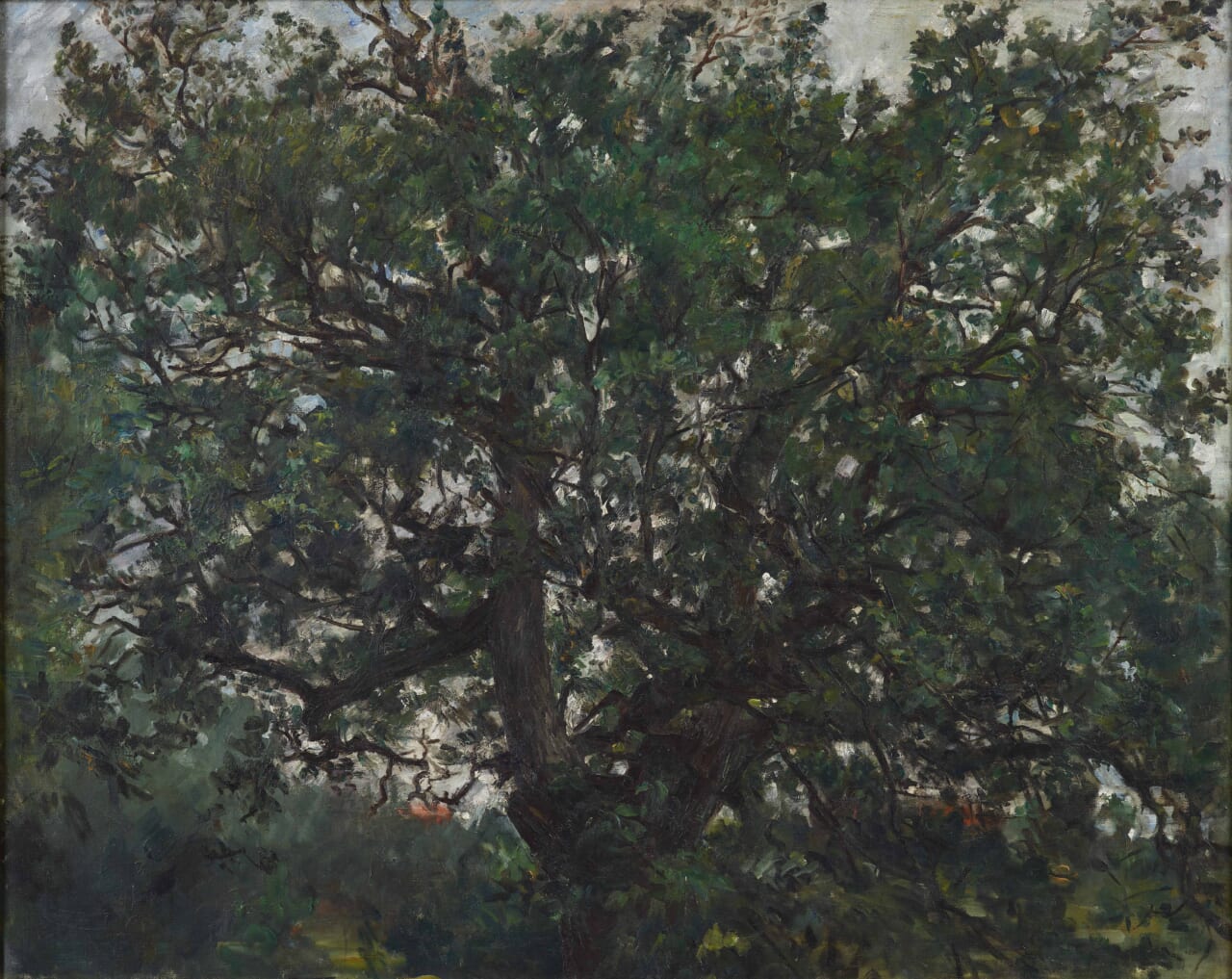 ロヴィス・コリント《樫の木》
