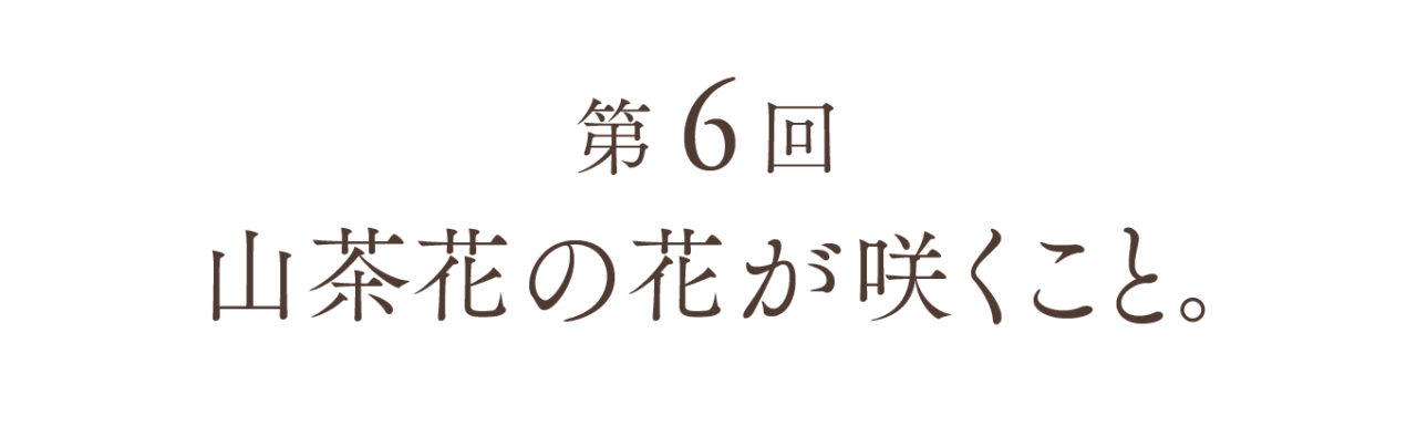 第６回 山茶花の花が咲くこと。