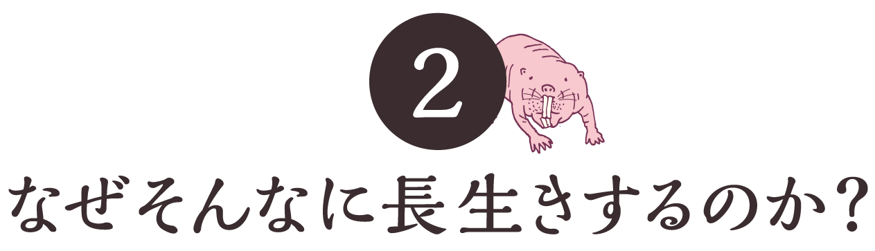 第２回 なぜそんなに長生きするのか？