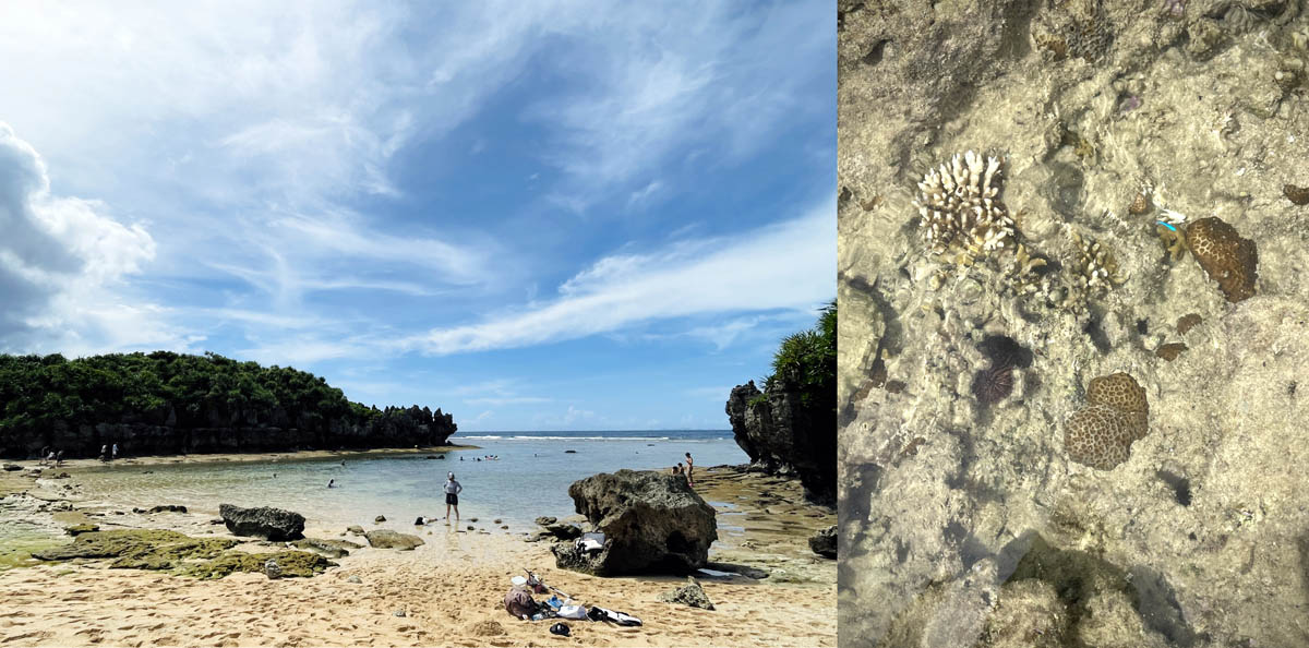 トケイ浜。すごい遠浅の海には、大きな熱帯魚が人間に脅えもせず泳いでいる。サンゴや岩が痛いので、マリンシューズは必須。