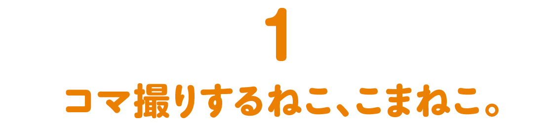 第1回 コマ撮りするねこ、こまねこ。