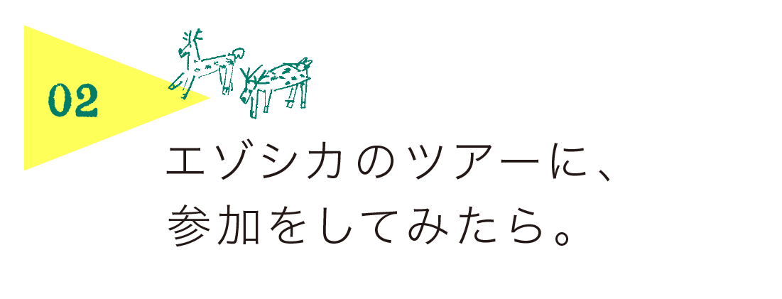 ２）エゾシカのツアーに、参加をしてみたら。