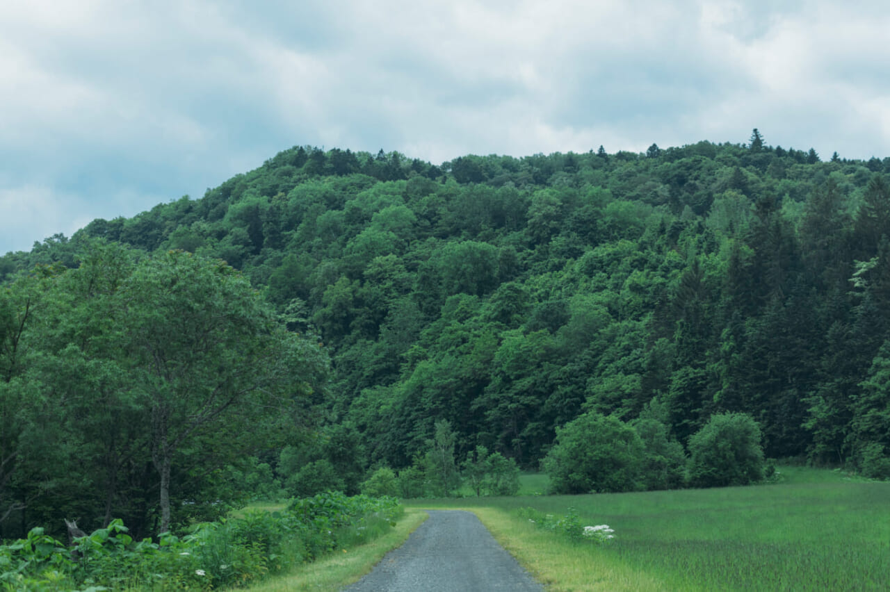 ▲西興部村の山道。
撮影｜前田景