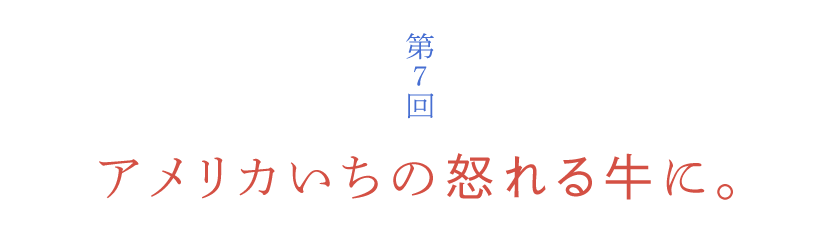 第７回 アメリカいちの怒れる牛に。