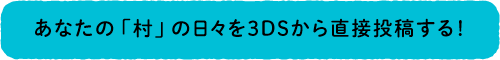 あなたの「村」の日々を３ＤＳから直接投稿する！