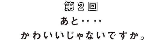 第2回 あと‥‥かわいいじゃないですか。