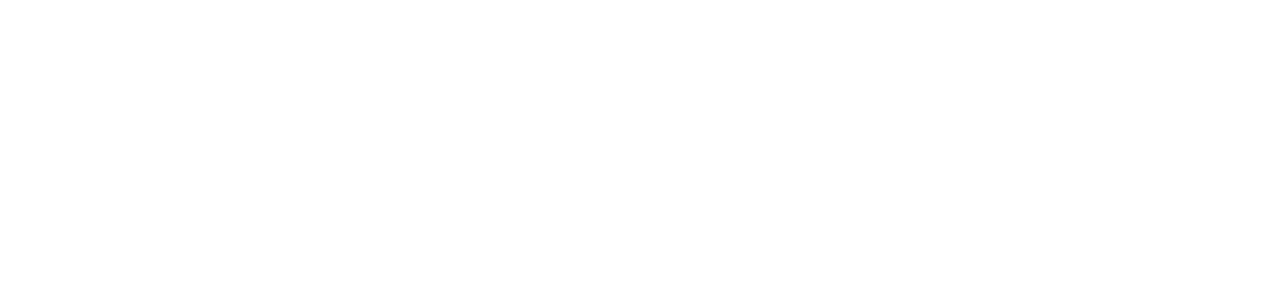 ほぼ日の水沢ダウン