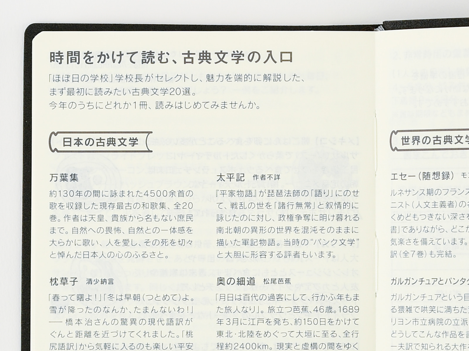 Informational Pages Hobonichi Techo Weeks Book Buying Guide Hobonichi Techo 19