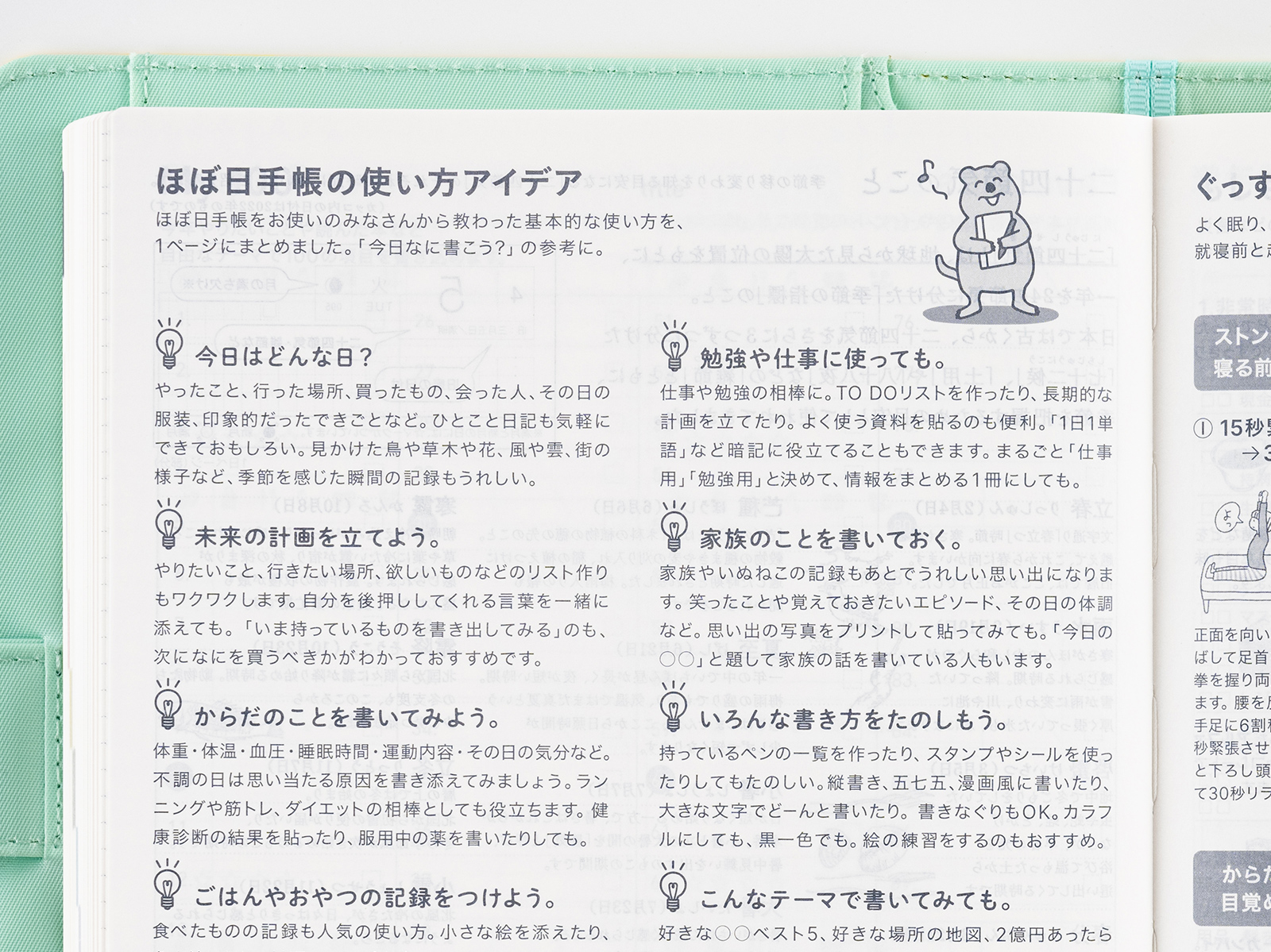 Cousin Summary Book Buying Guide Hobonichi Techo 22