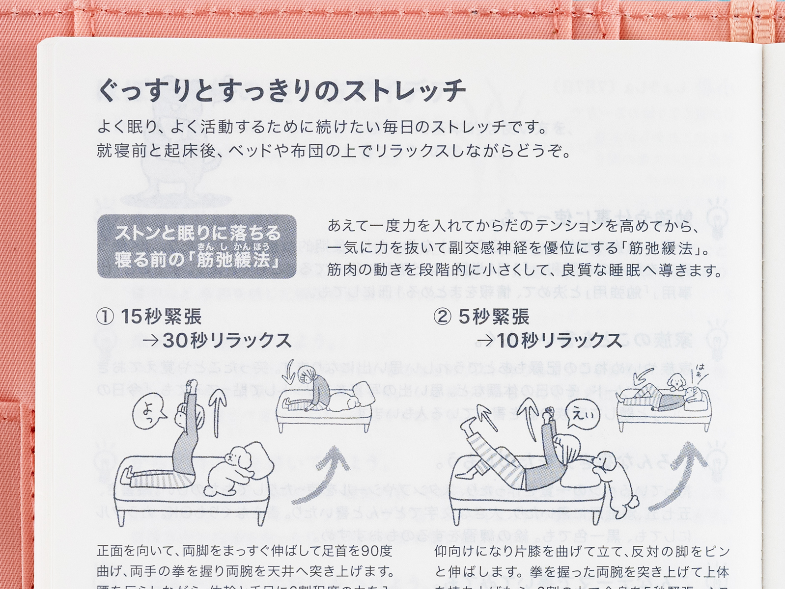 Day Free Summary Hobonichi Techo Book Buying Guide