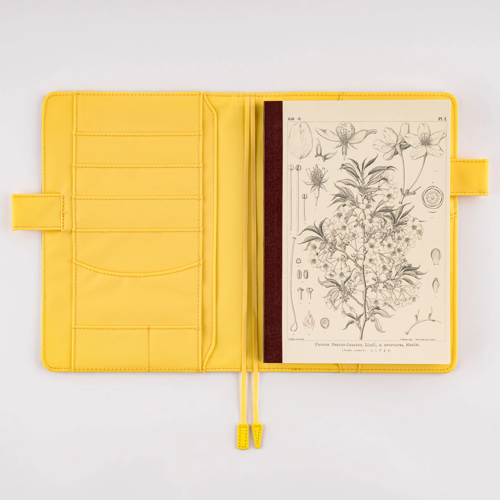 Retronote Ghosts Series II - A5, Hokusai Notebook Set of 4 II, Unlined,  Total 256 Pages, 64 Pages, Wire Stitching, Flexible Cover, Oval Edge,  Canvas Texture, 60 grams, Yellow Cream Colour: 8683363711374: :  Office Products