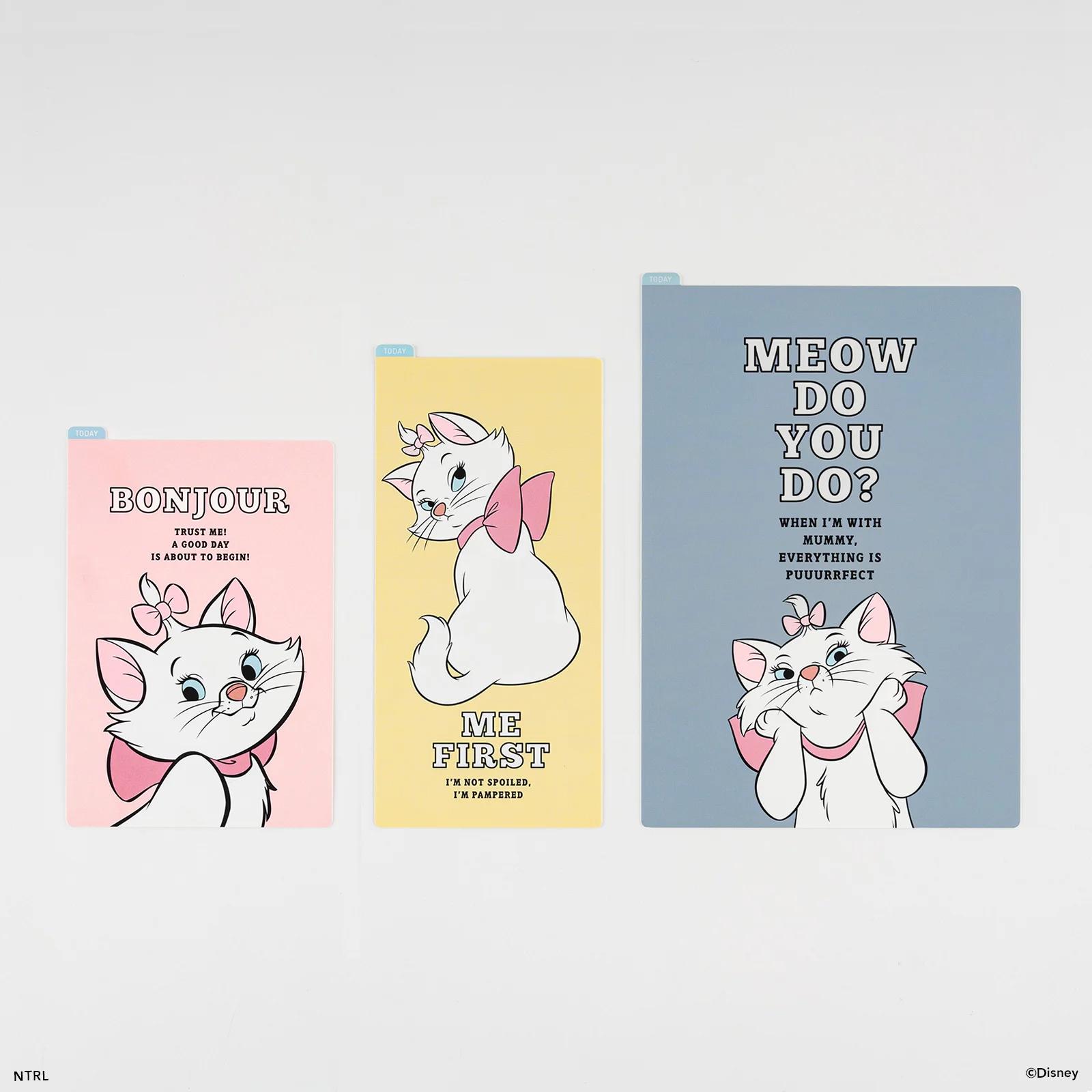 The Aristocats: Pen Case with Band - Accessories Lineup - Hobonichi Techo  2023