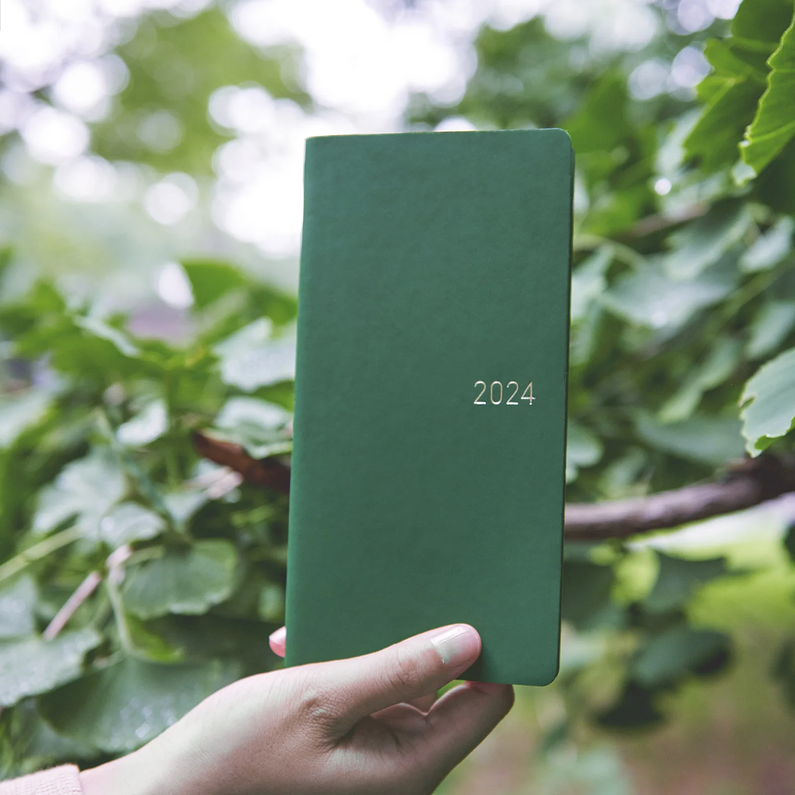 2024 Hobonichi Weeks Smooth - Forest Green – Shorthand