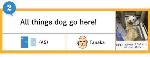 All things dog go here!