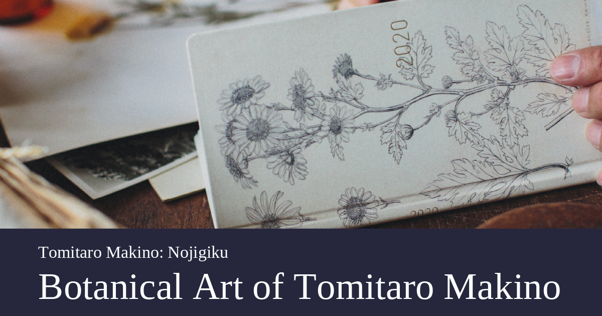 Tomitaro Makino / Hobonichi Pencil Board – PaperPlantCo