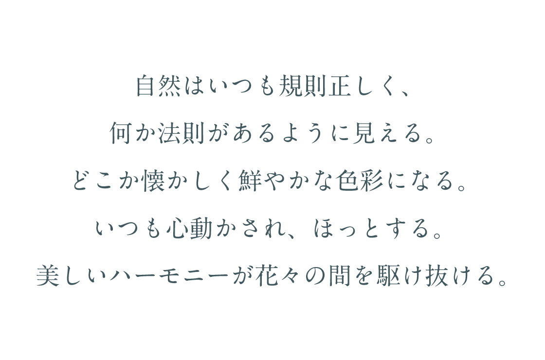 自然はいつも規則正しく、 何か法則があるように見える。 どこか懐かしく鮮やかな色彩になる。 いつも心動かされ、ほっとする。 美しいハーモニーが花々の間を駆け抜ける。