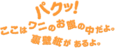 ほぼ日刊イトイ新聞 壁紙ダウンロードワニ園